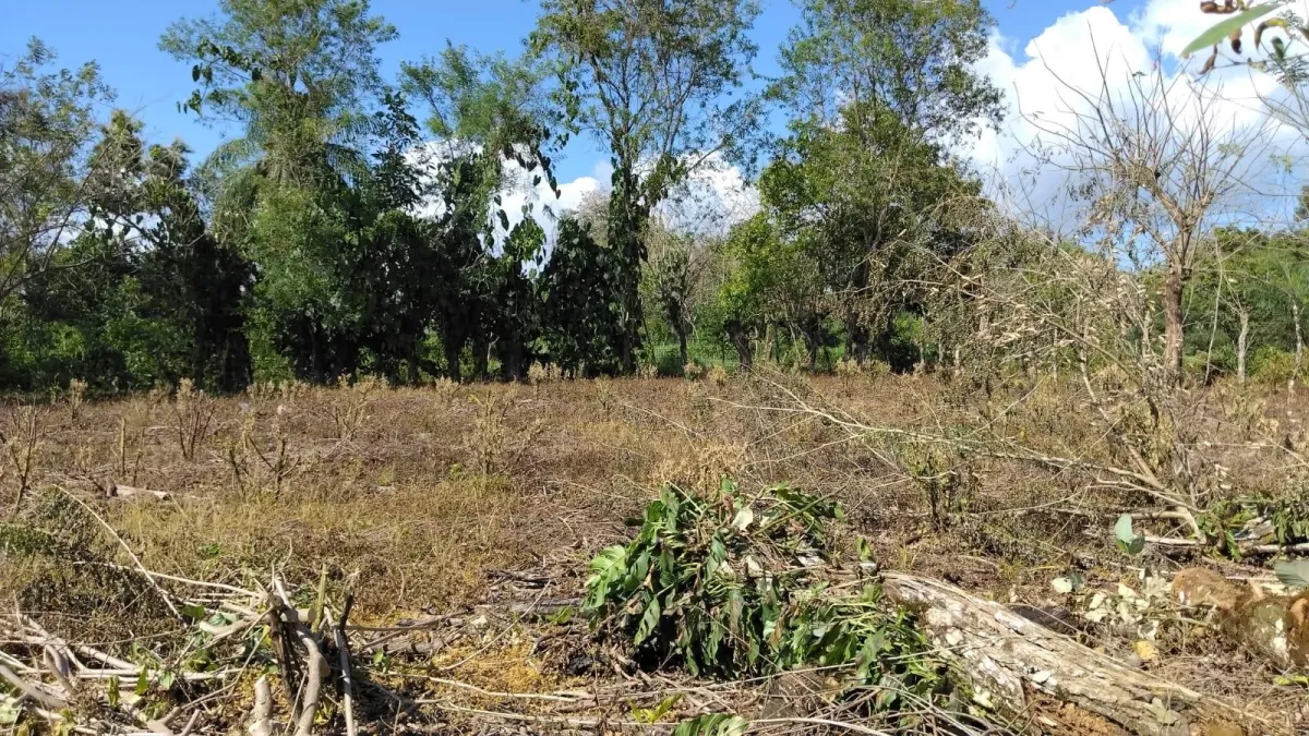 Large plot of land with a small house in Boquerón