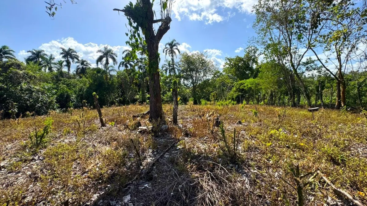 Large plot of land with a small house in Boquerón