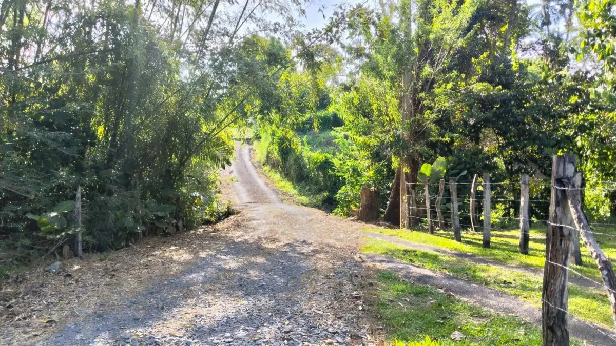 Large plot of land with a small house in Boquerón