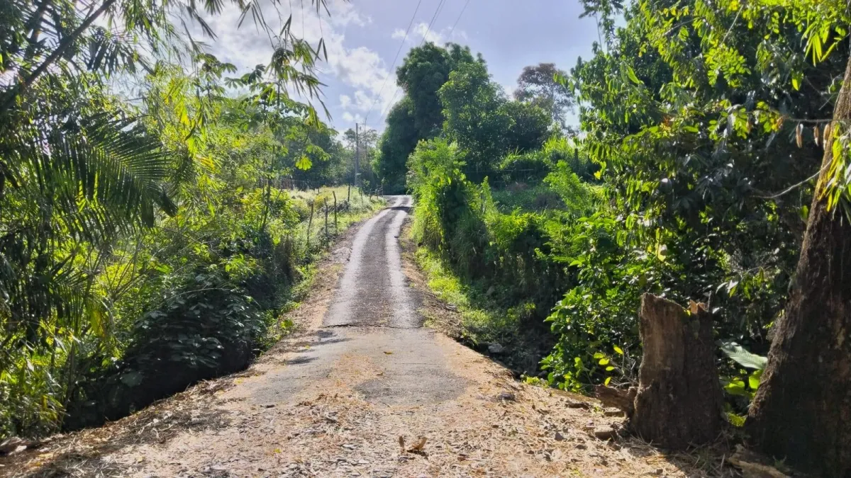 Large plot of land with a small house in Boquerón