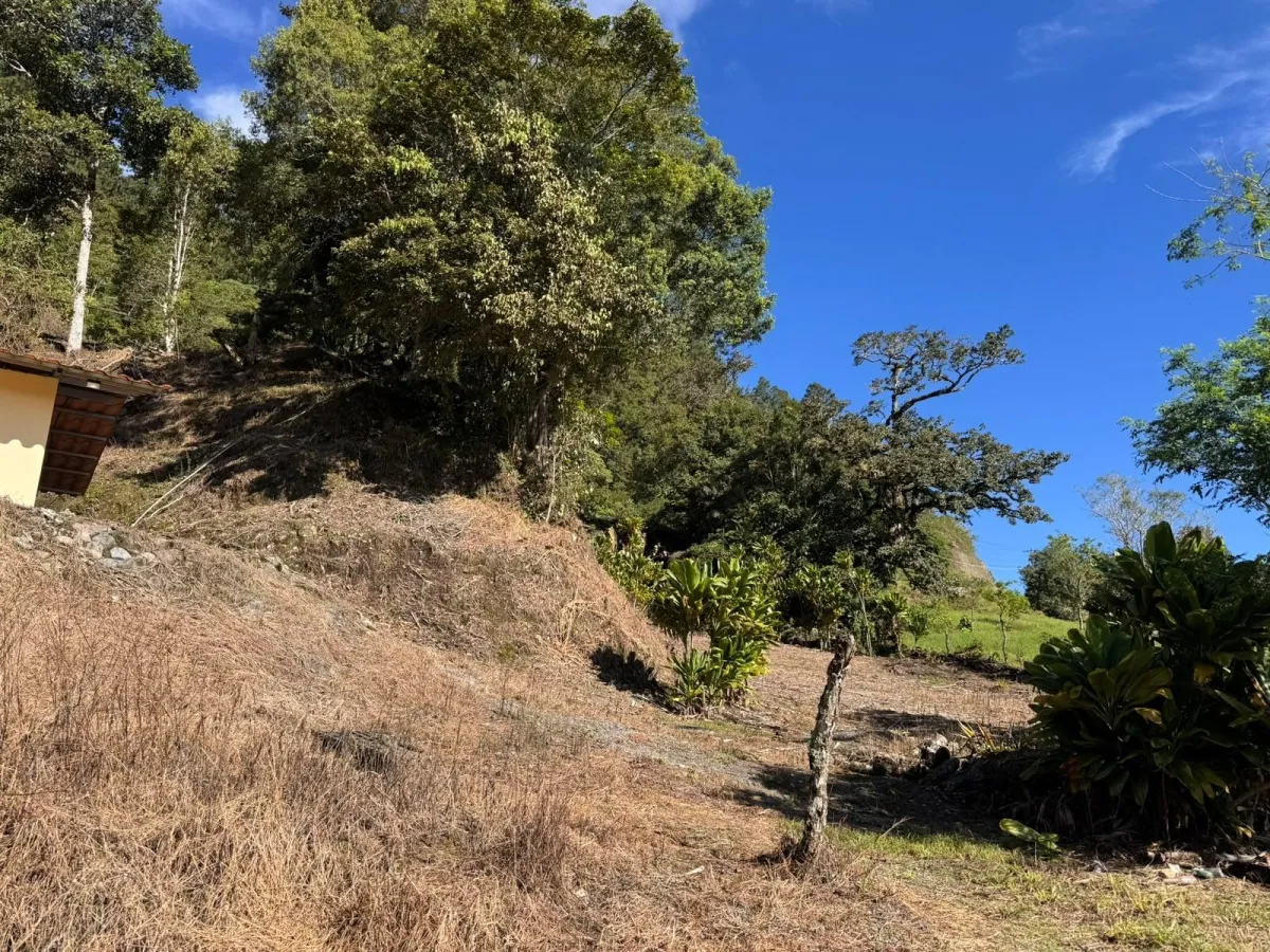 Property with Panoramic Views