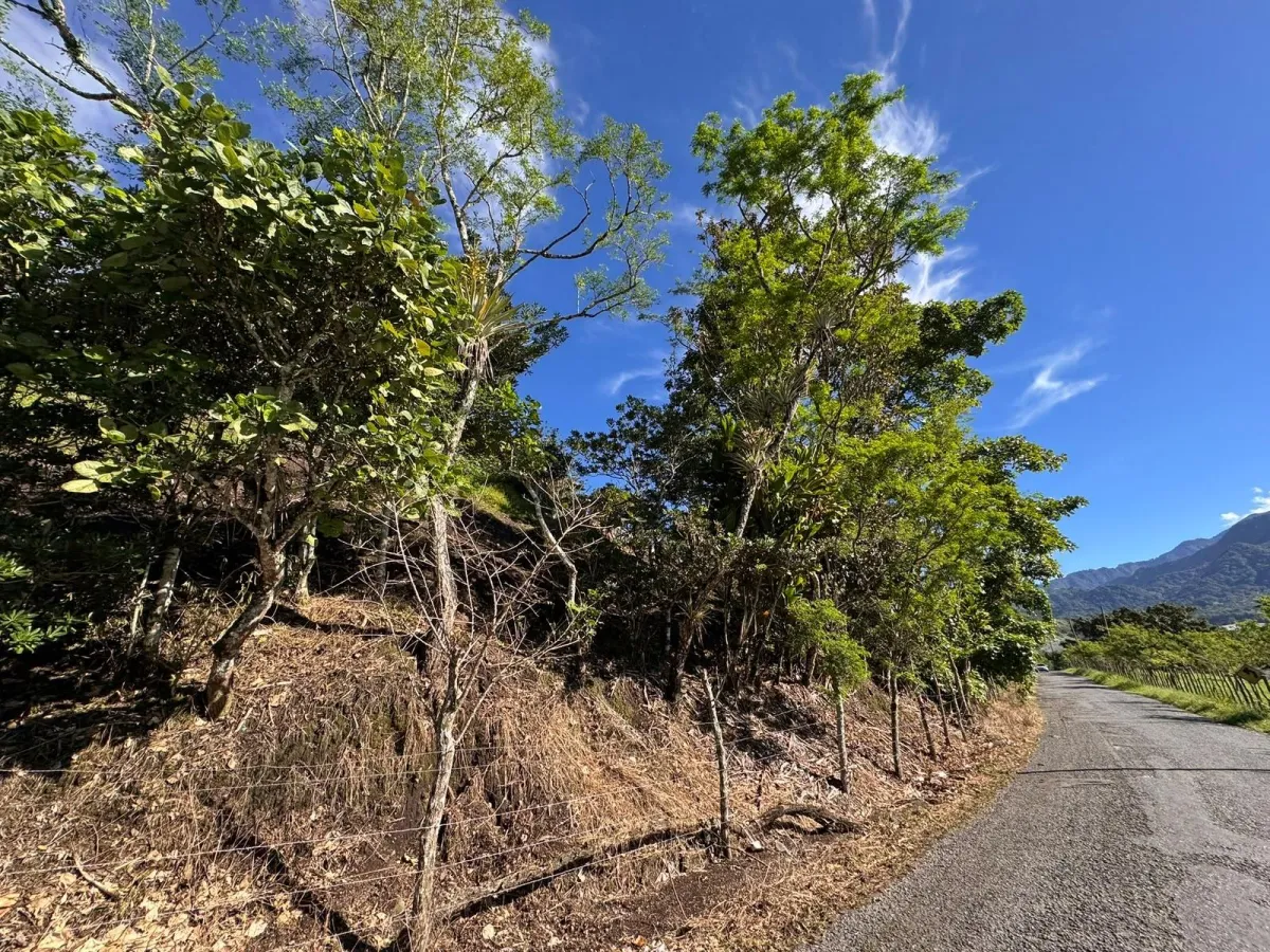 Property with Panoramic Views