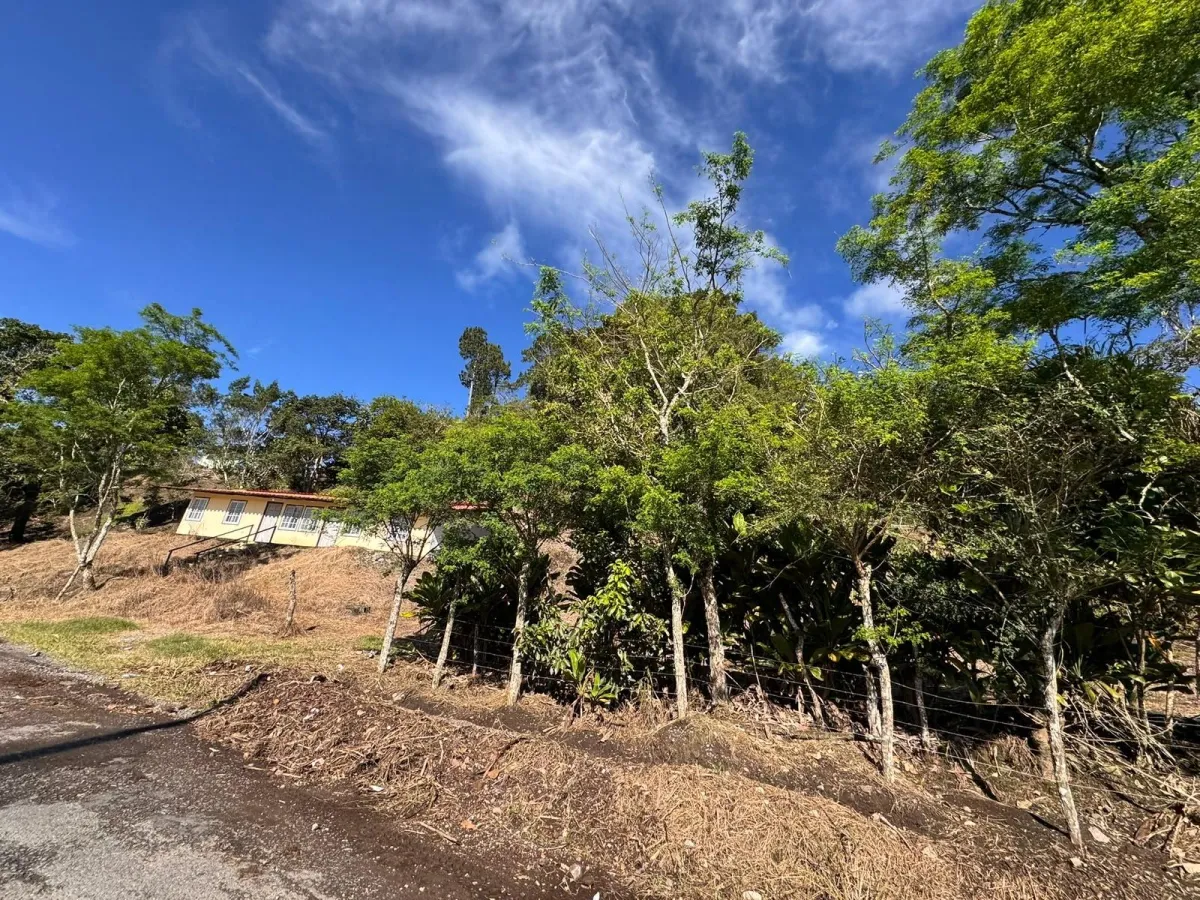 Property with Panoramic Views