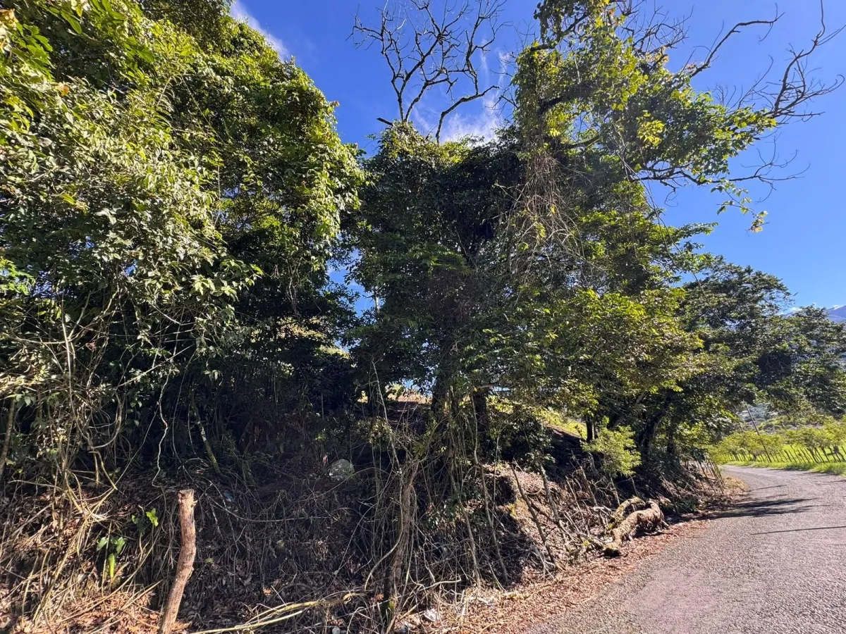 Property with Panoramic Views