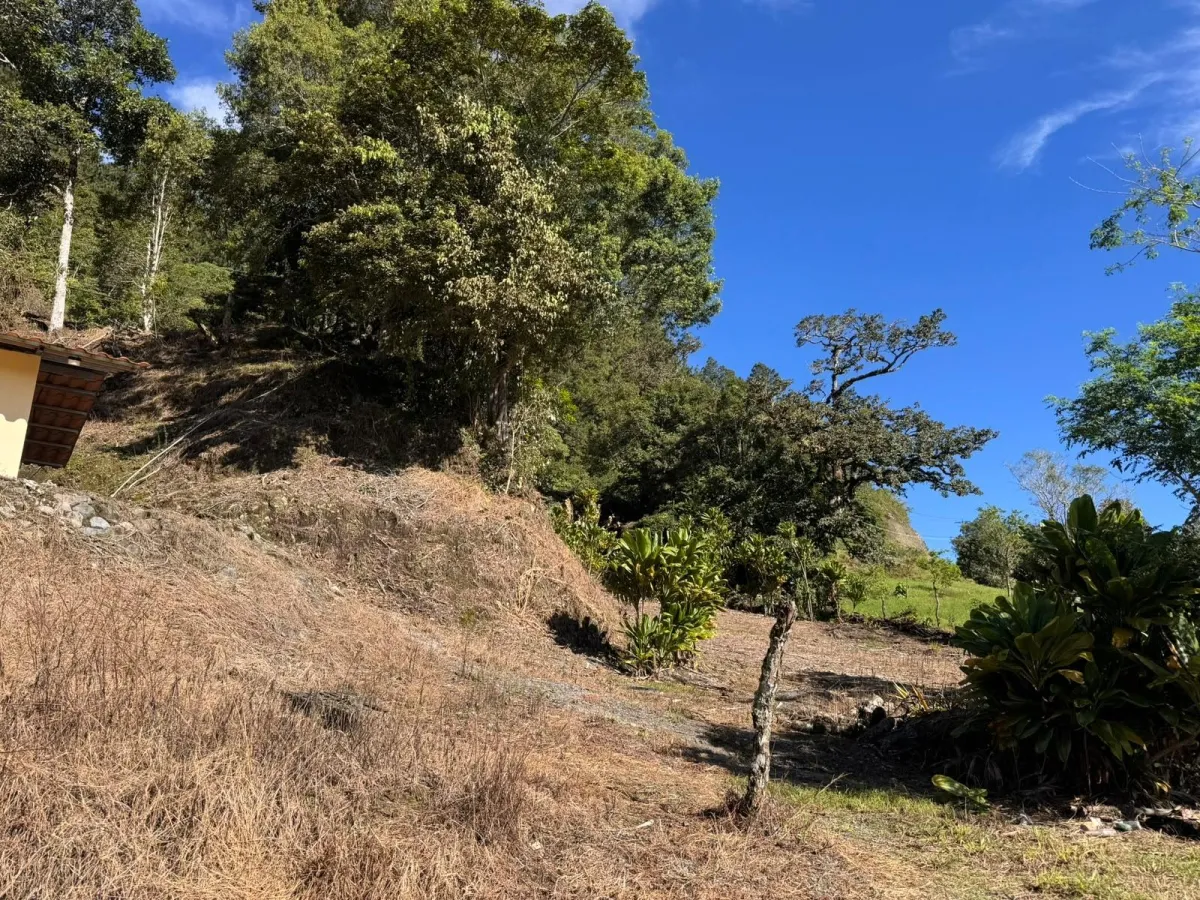 Property with Panoramic Views