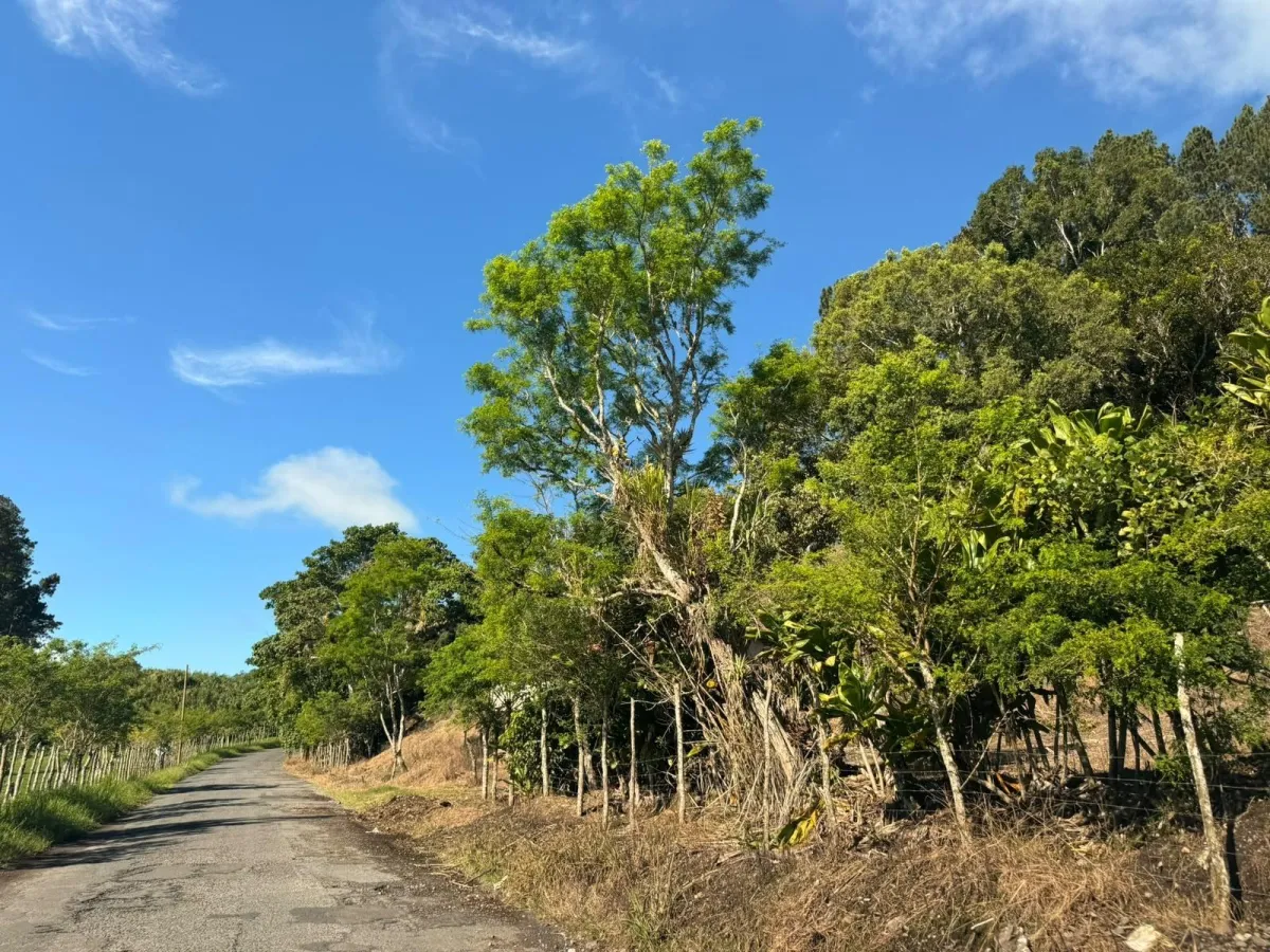 Property with Panoramic Views