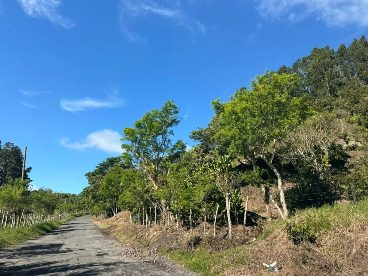 Property with Panoramic Views