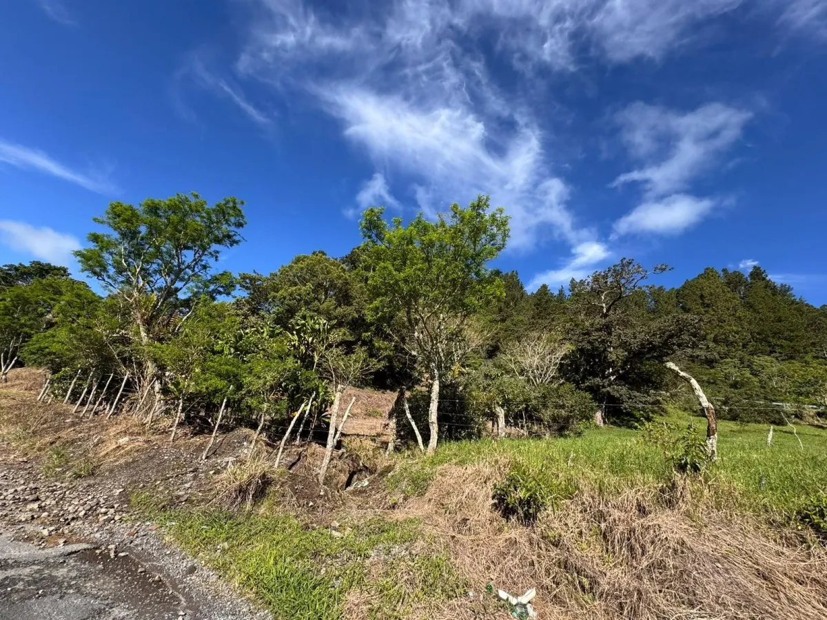 Property with Panoramic Views