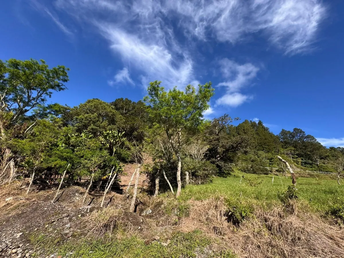 Property with Panoramic Views