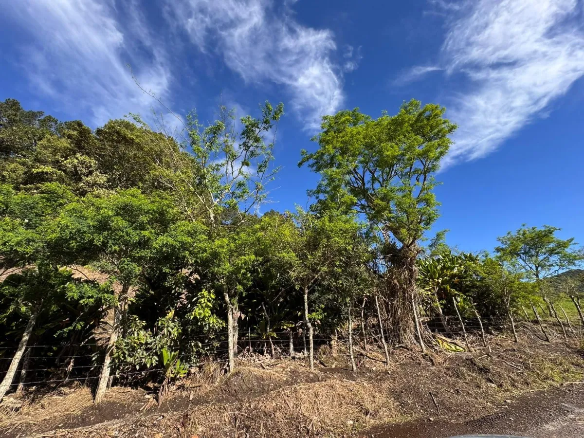 Property with Panoramic Views