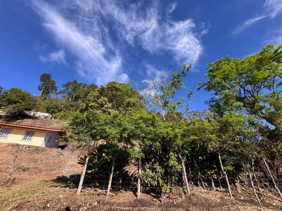 Property with Panoramic Views