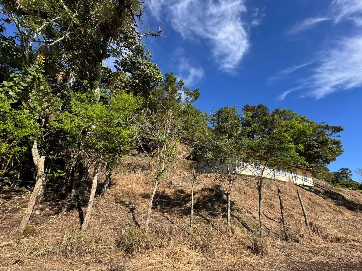 Property with Panoramic Views