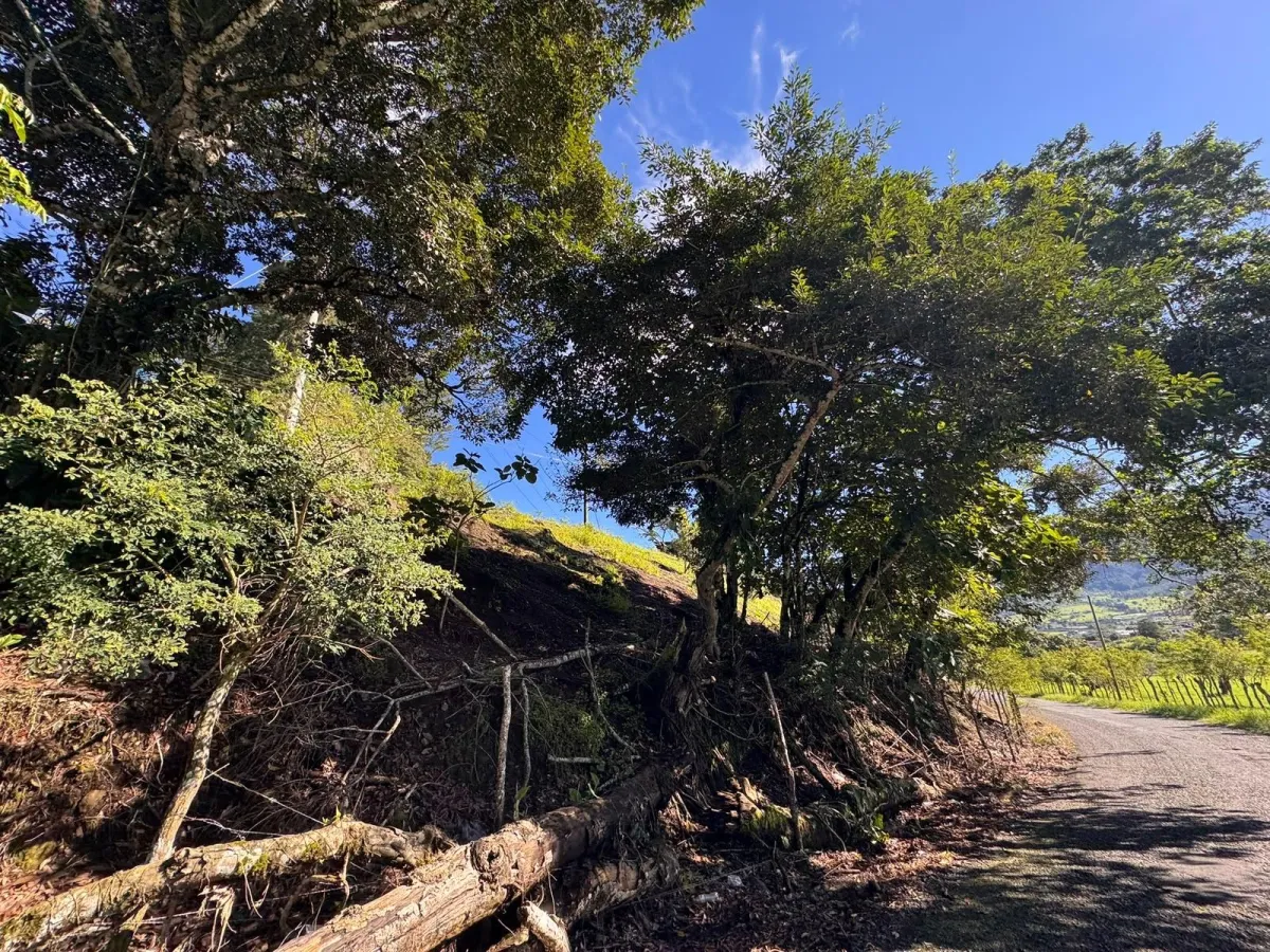 Property with Panoramic Views