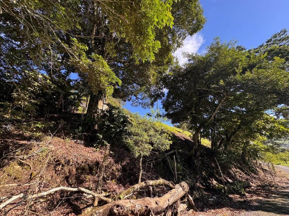Property with Panoramic Views