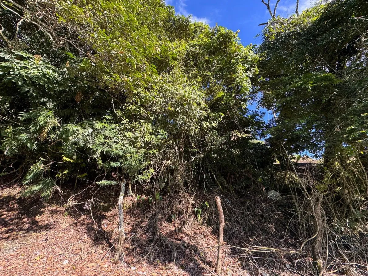 Property with Panoramic Views