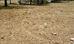 Terreno en Santa Fe de Las Lajas