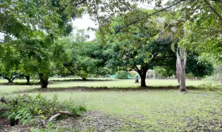 Land for sale in Gorgona