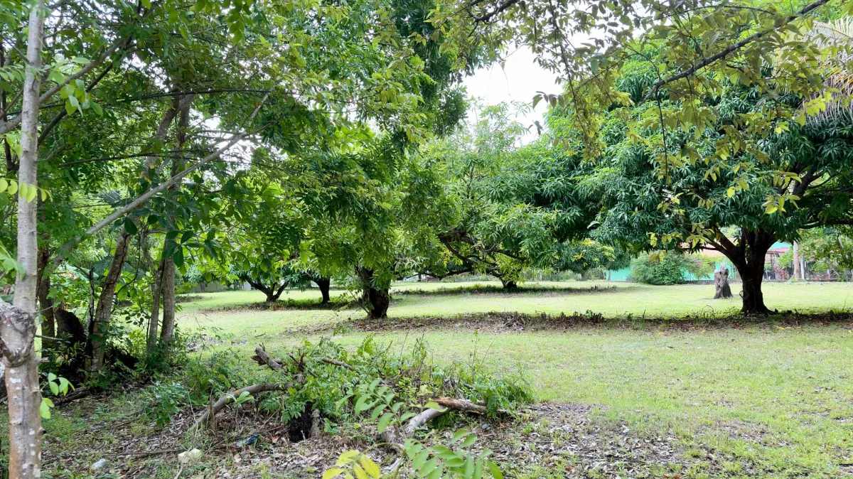 Land for sale in Gorgona
