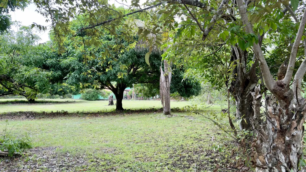 Land for sale in Gorgona