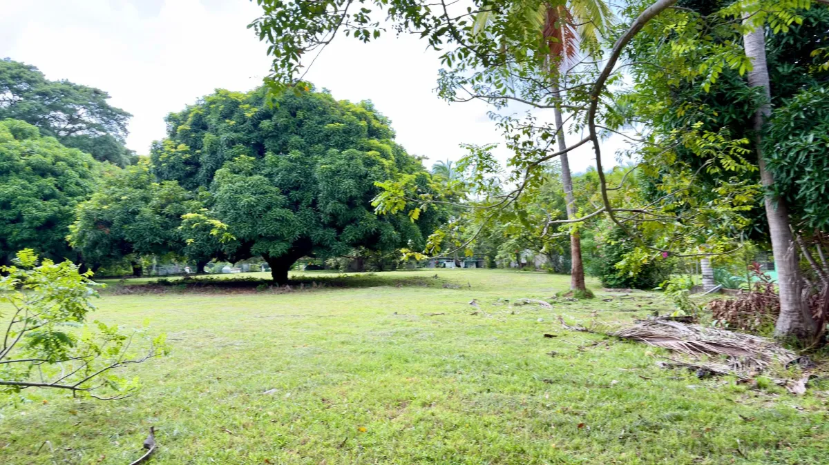 Land for sale in Gorgona