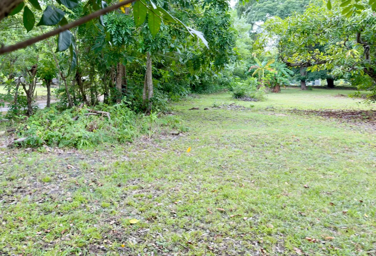 Land for sale in Gorgona