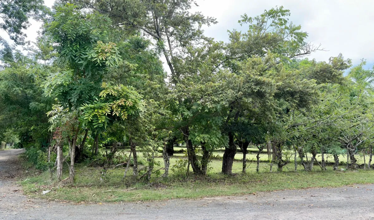 Land for sale in Gorgona