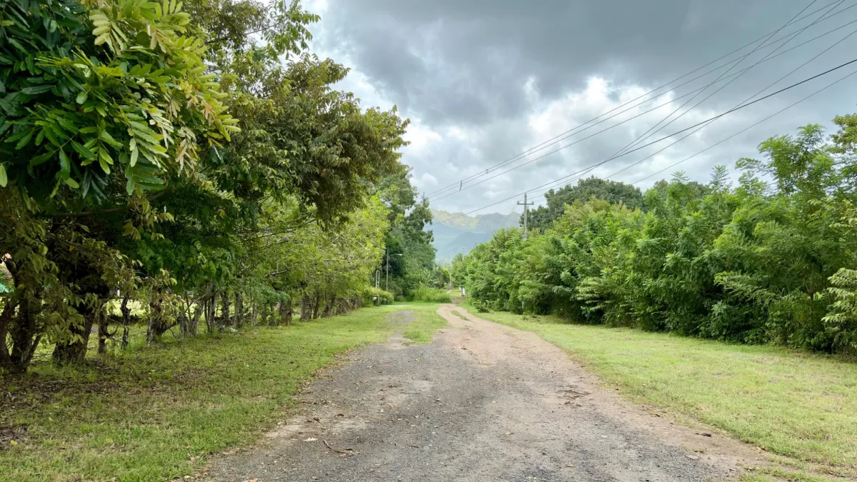 Land for sale in Gorgona