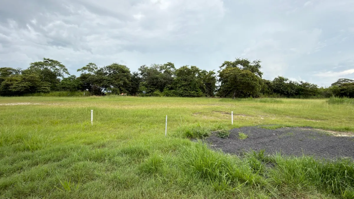 Land for sale in Coronado