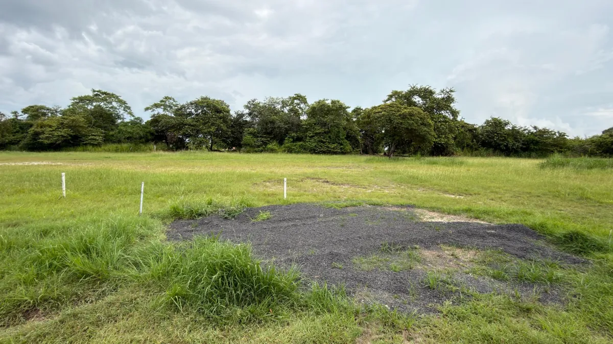 Land for sale in Coronado
