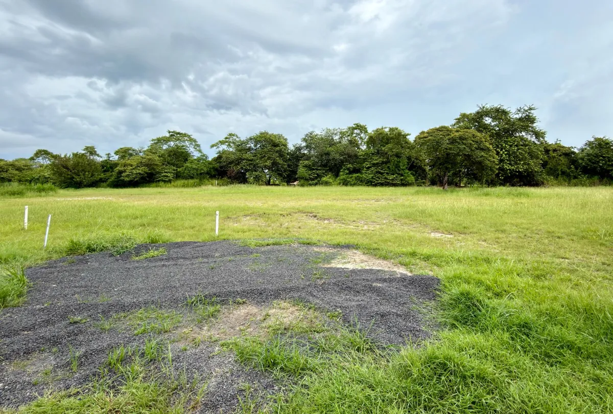 Land for sale in Coronado