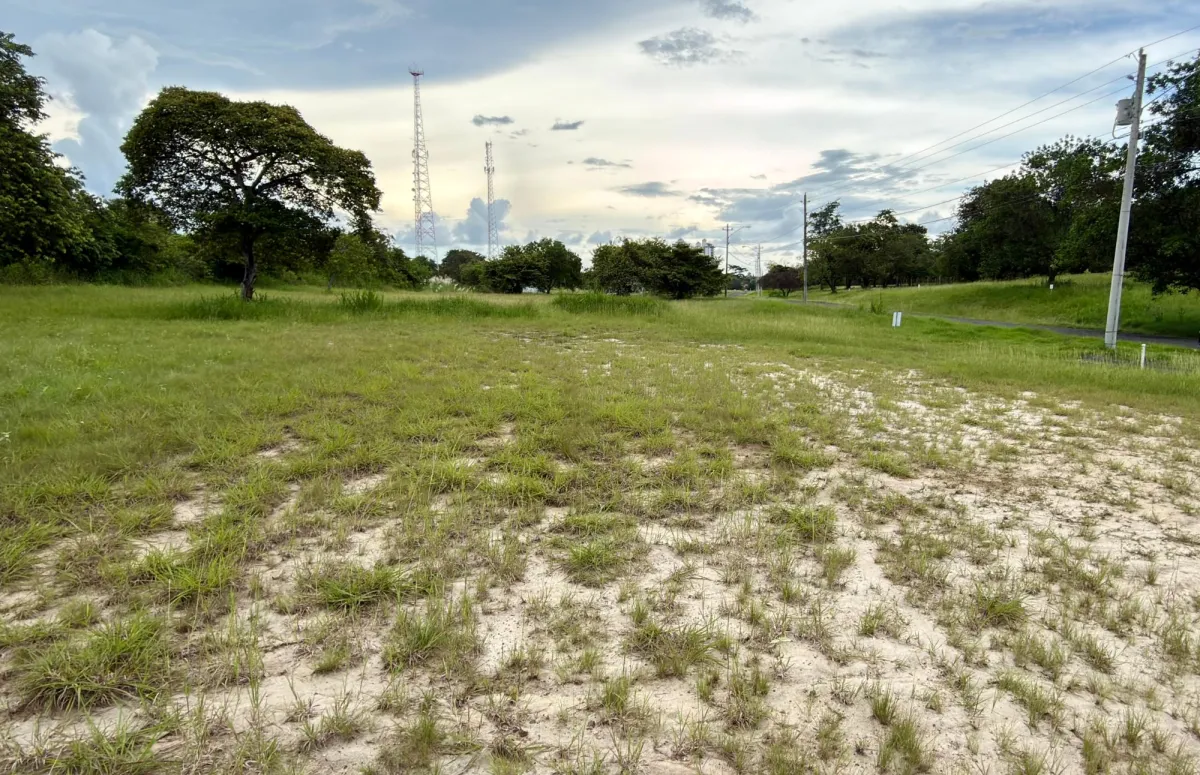 Land for sale in Coronado