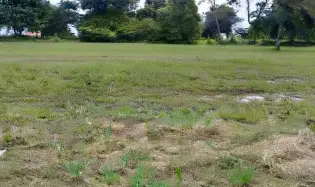 Land for sale in Coronado