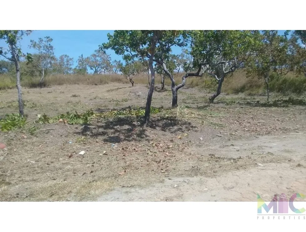Land for Sale in Rio Mar, San Carlos