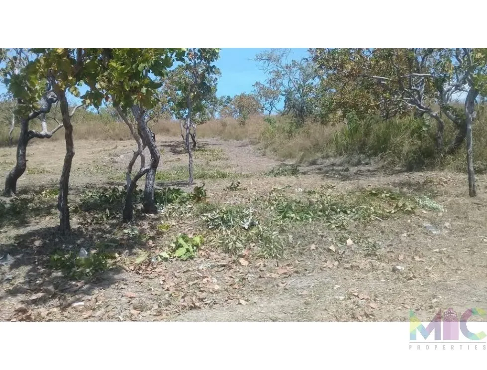 Land for Sale in Rio Mar, San Carlos