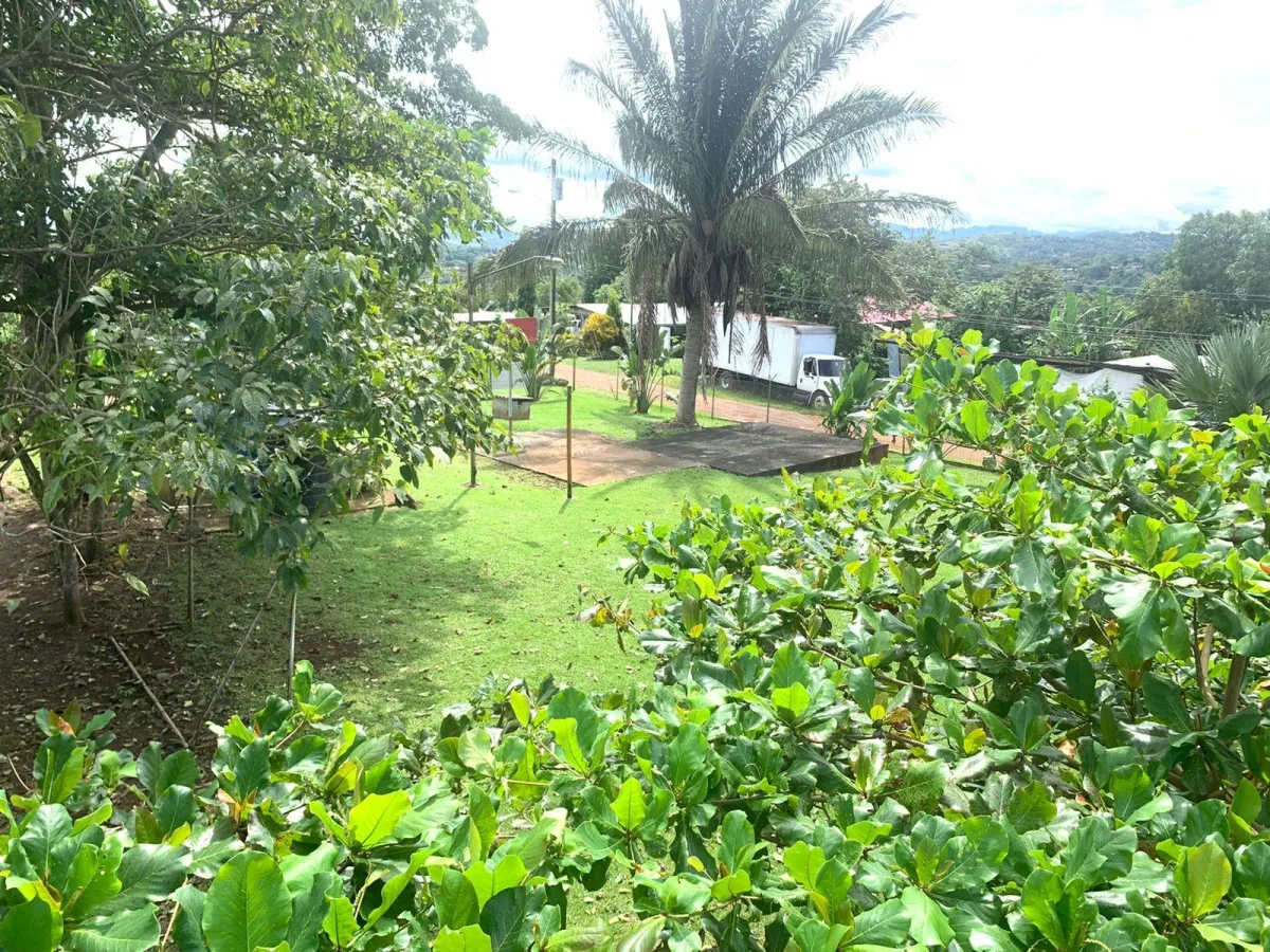 RECREATIONAL HOUSE FOR SALE IN LA CHORRERA