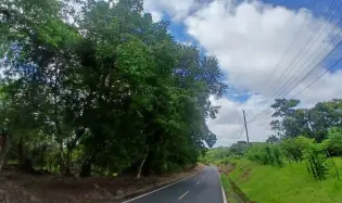 Land for Sale, facing the street