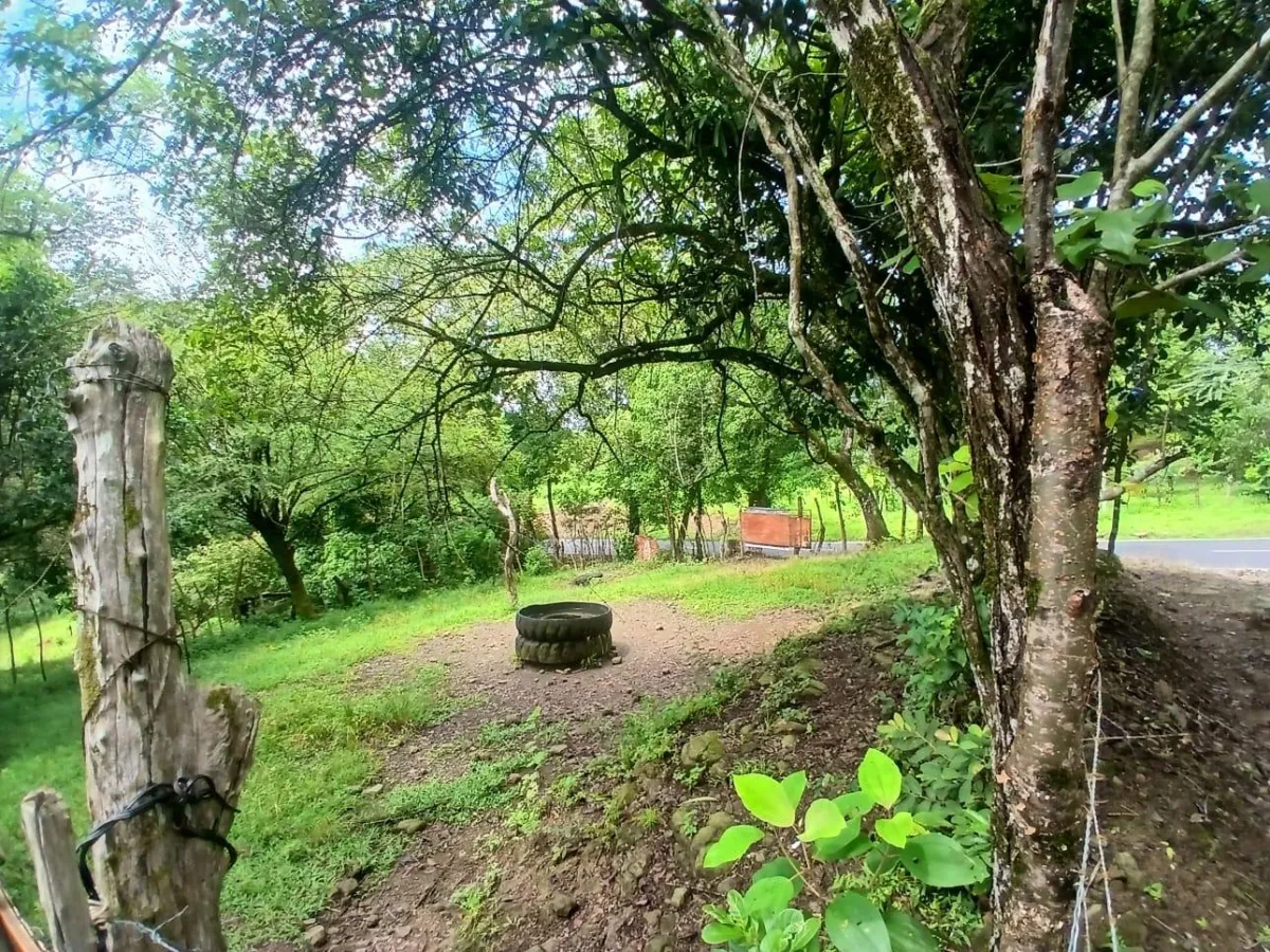 Land for Sale, facing the street