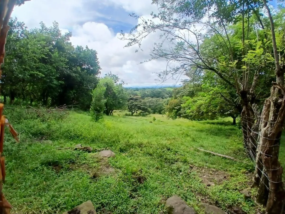 Land for Sale, facing the street