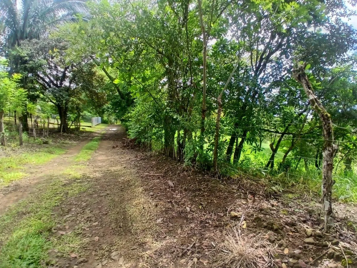 Land for Sale, facing the street