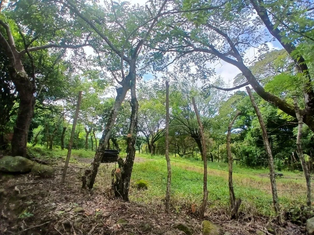 Land for Sale, facing the street