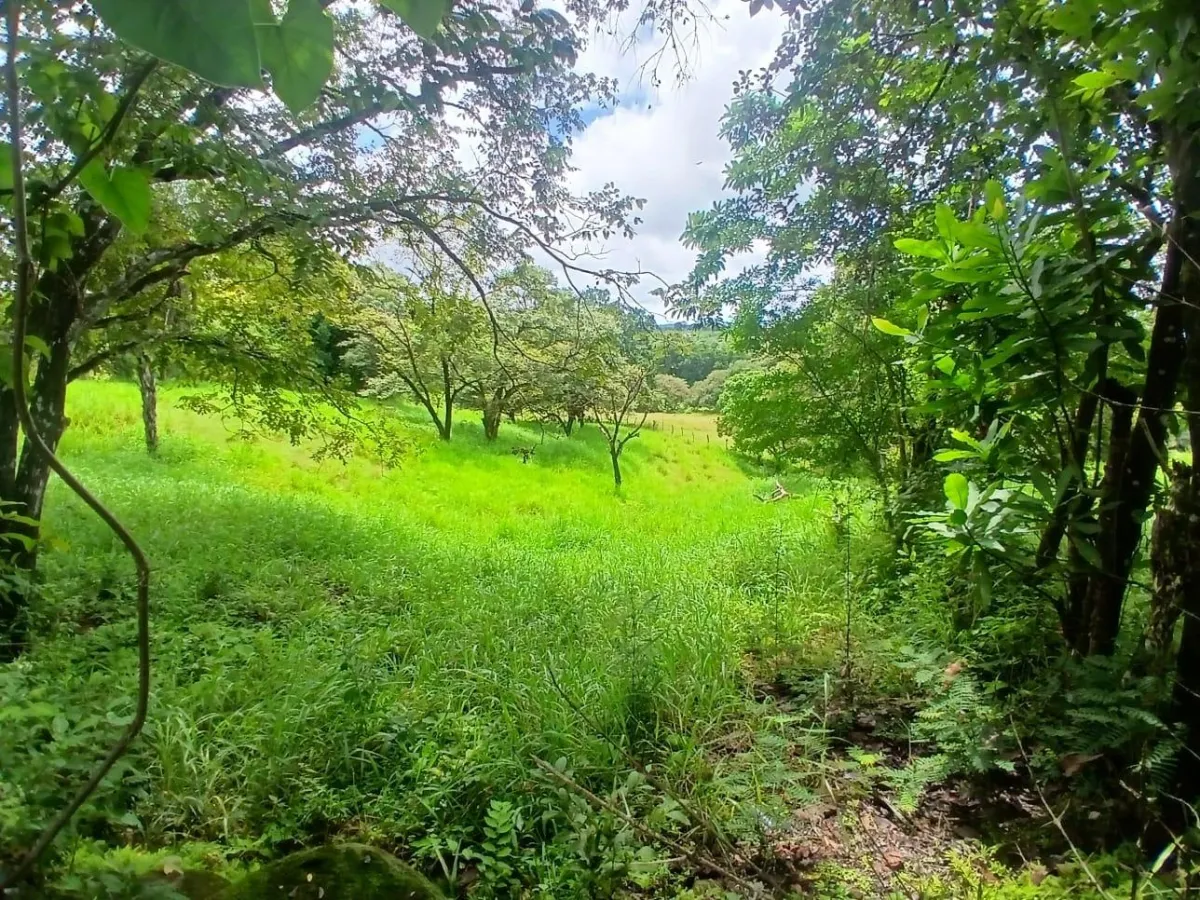 Land for Sale, facing the street