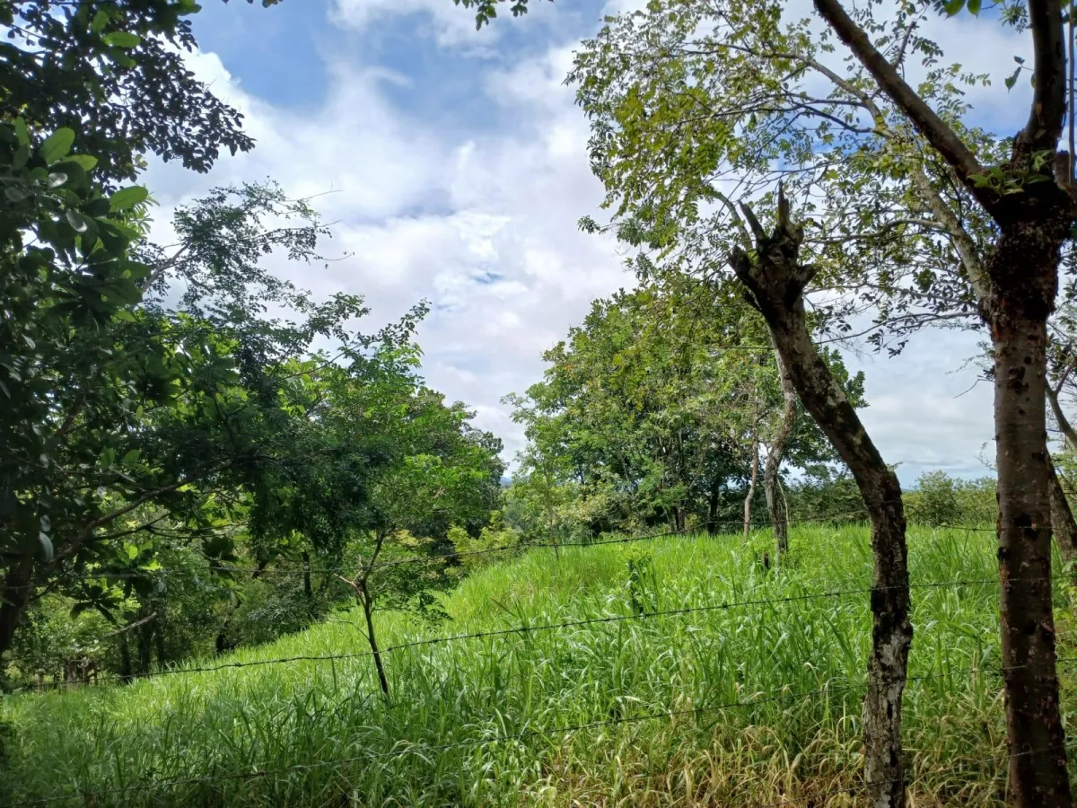 Land for Sale, facing the street