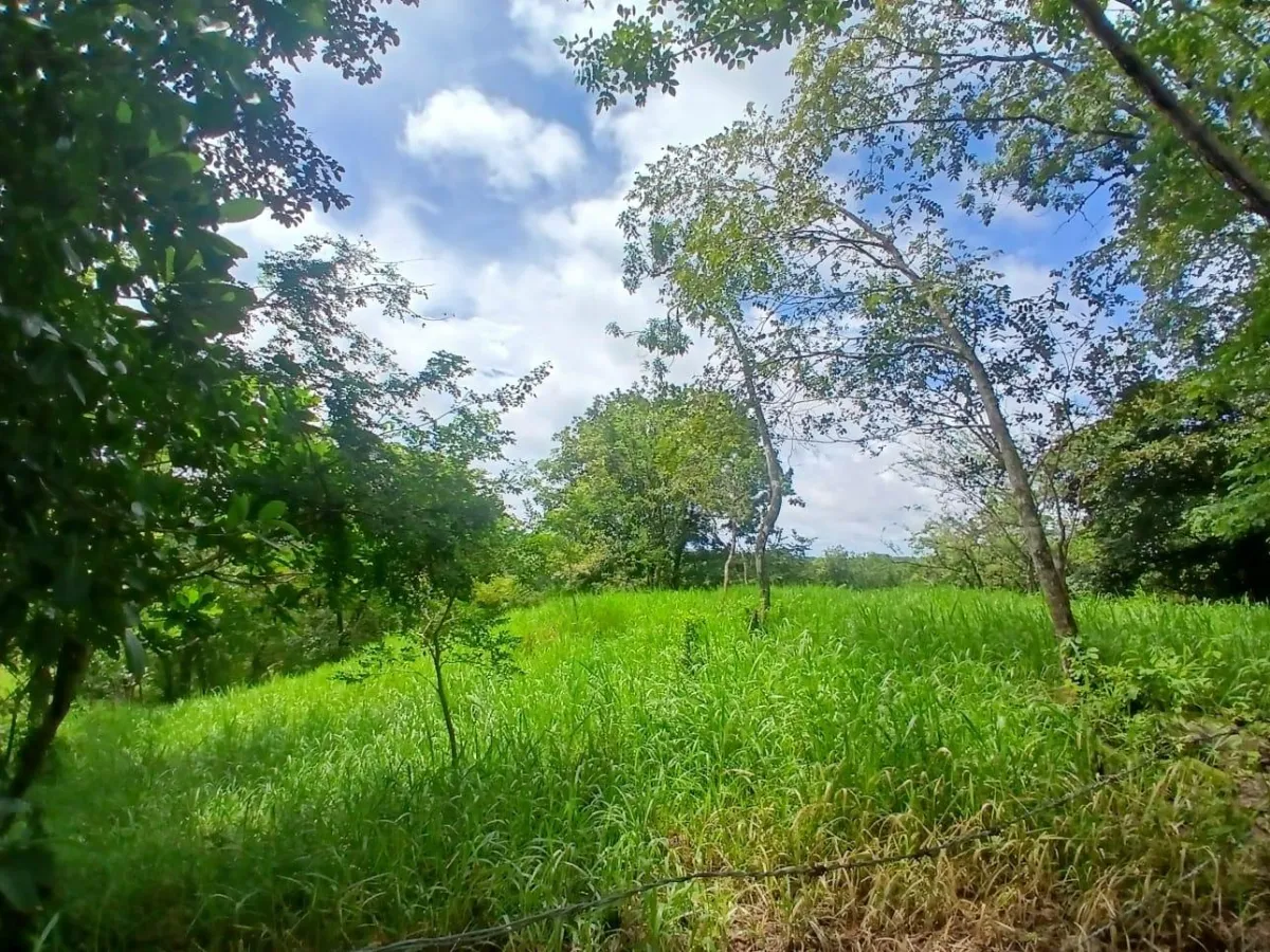 Land for Sale, facing the street
