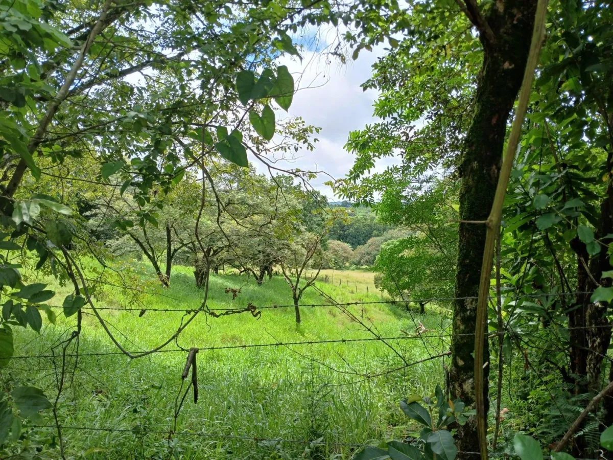 Land for Sale, facing the street