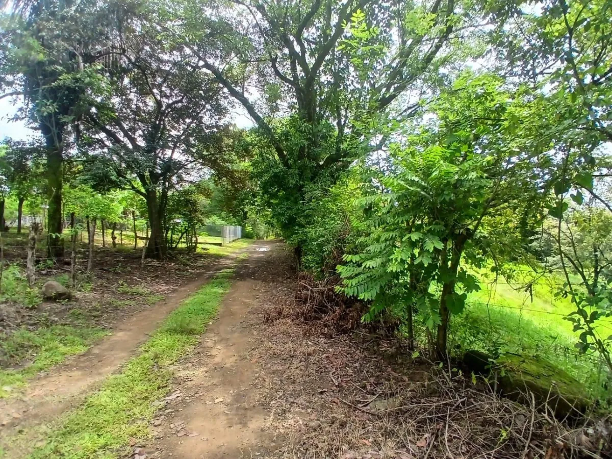 Land for Sale, facing the street