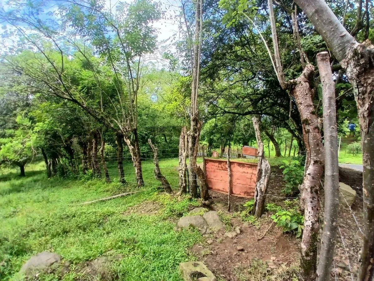 Land for Sale, facing the street