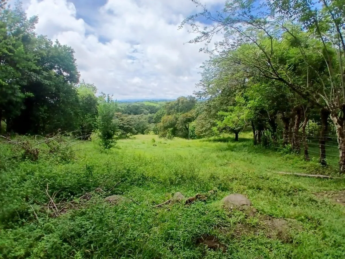 Land for Sale, facing the street