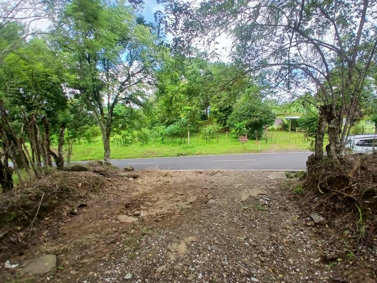 Land for Sale, facing the street
