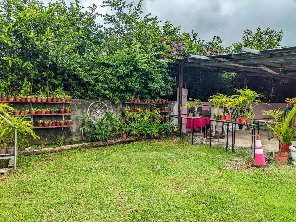 Roadside property with 2,906 m² in Dolega