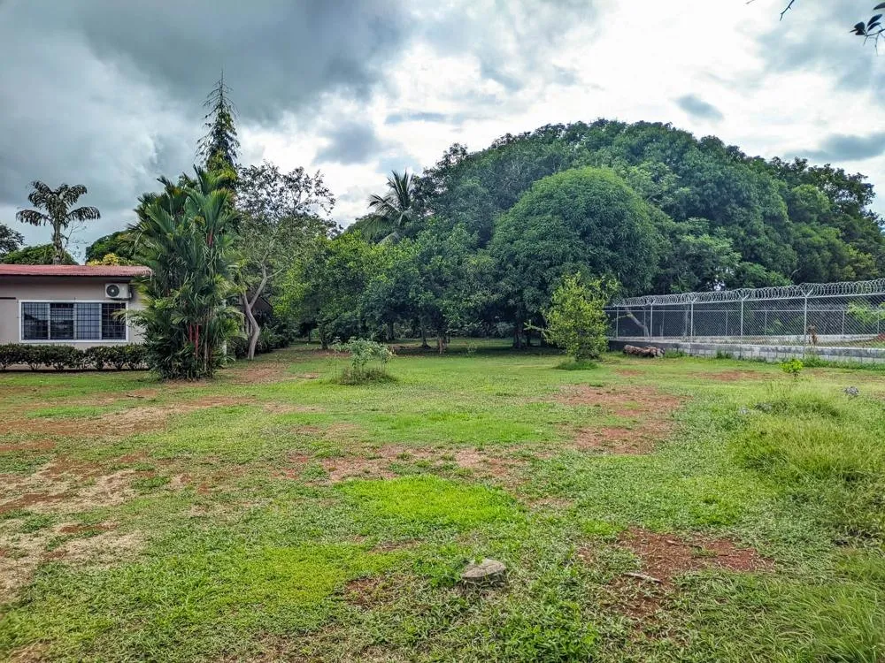 Roadside property with 2,906 m² in Dolega